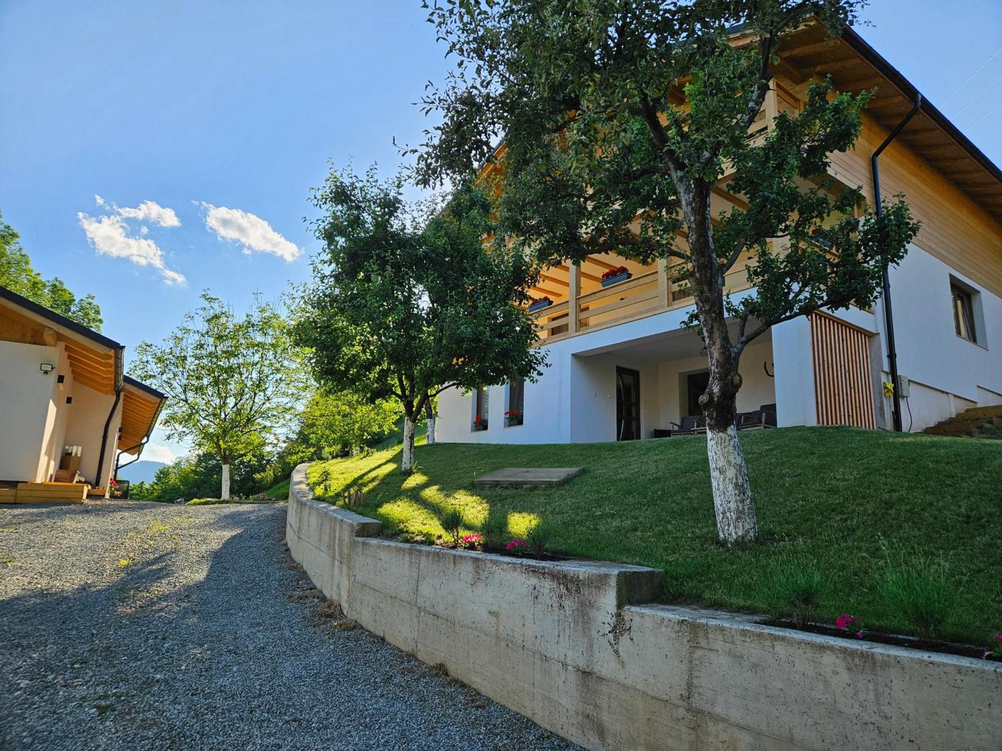 Hotel Casa Mara Vişeu de Sus Exterior foto
